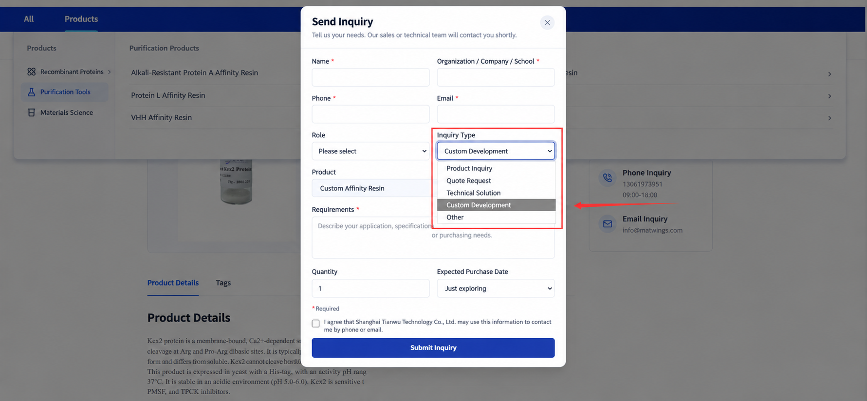 Selecting the custom development request type