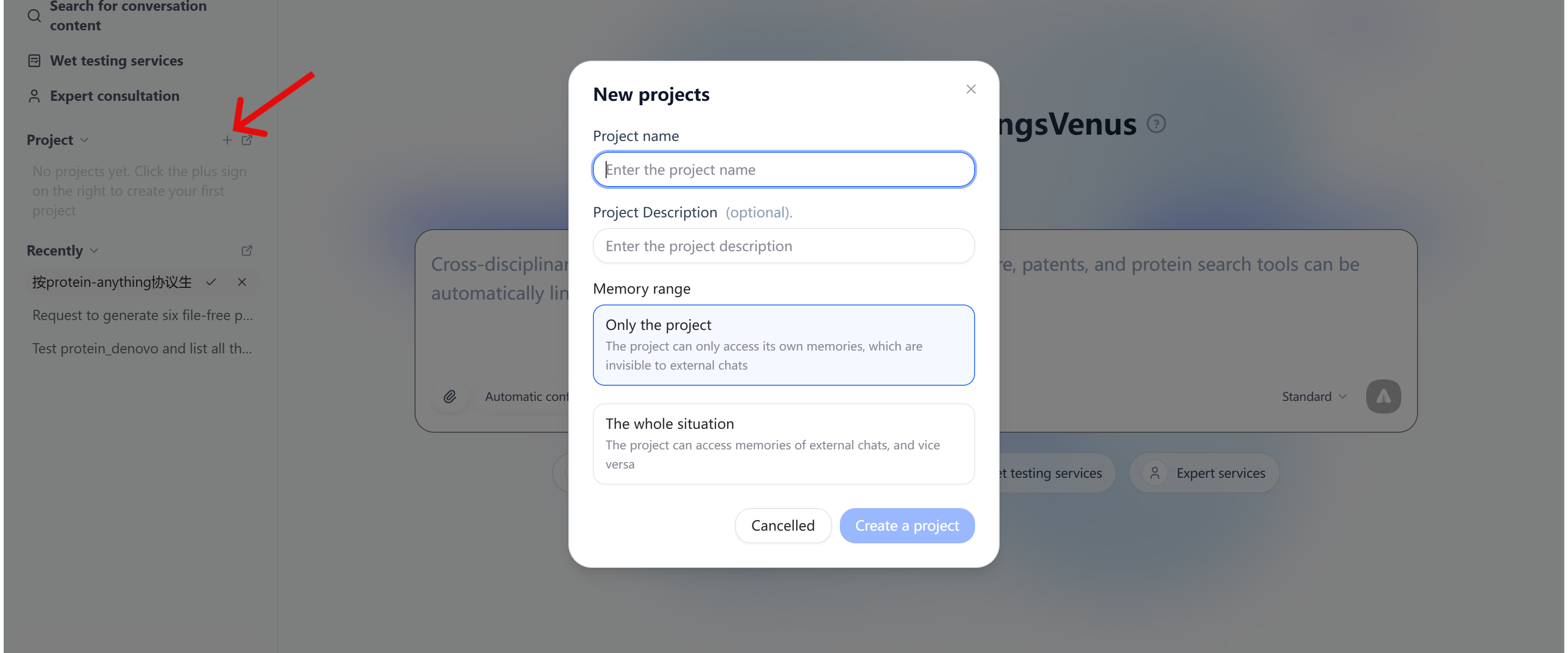 The new project form