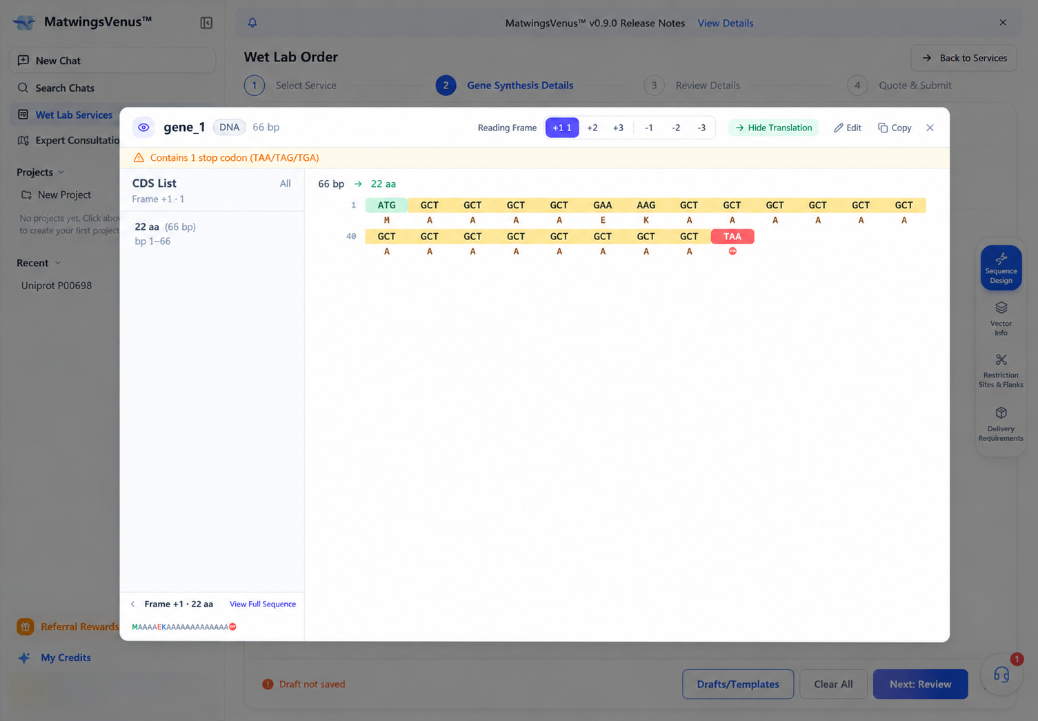 Viewing the sequence and protein translation